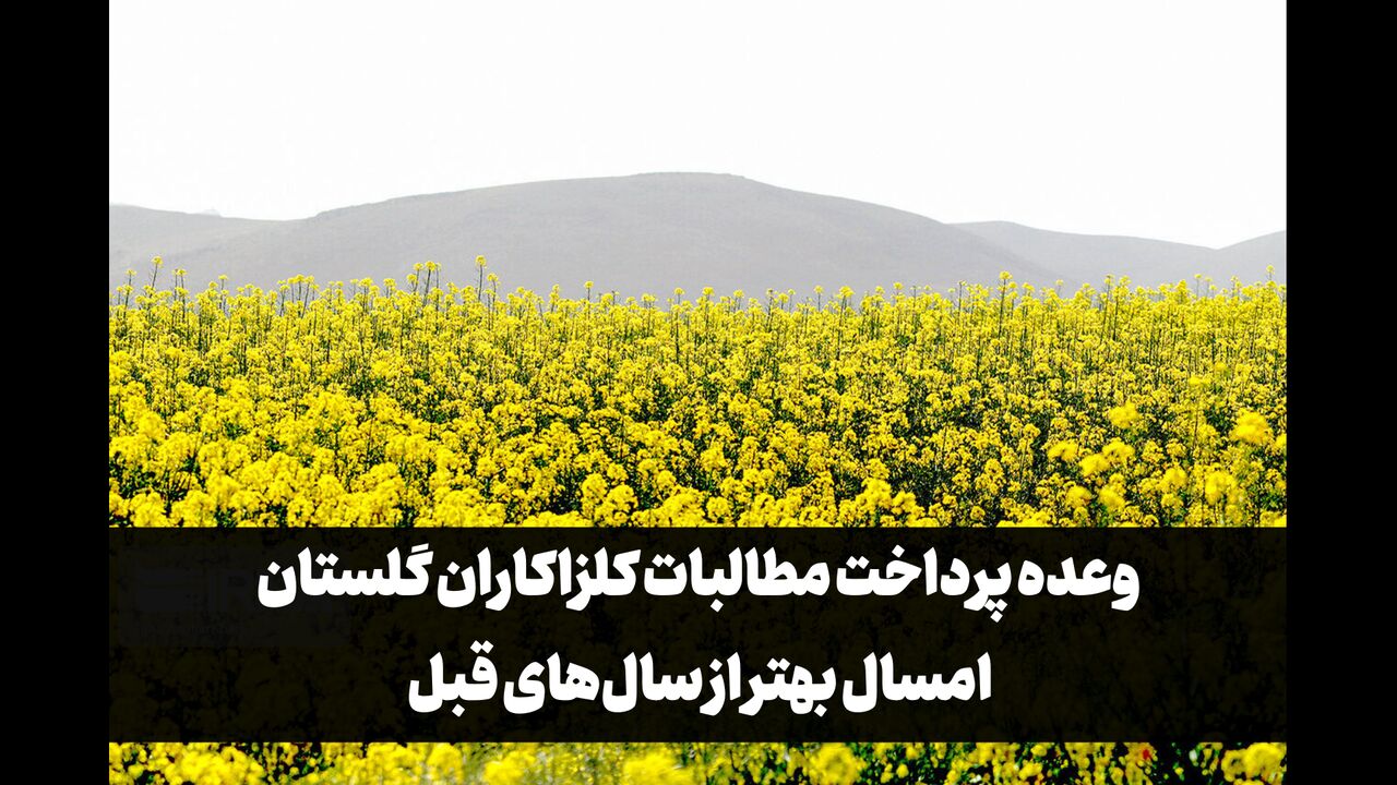 فیلم| وعده پرداخت مطالبات کلزاکاران گلستان؛ امسال بهتر از سال‌های قبل