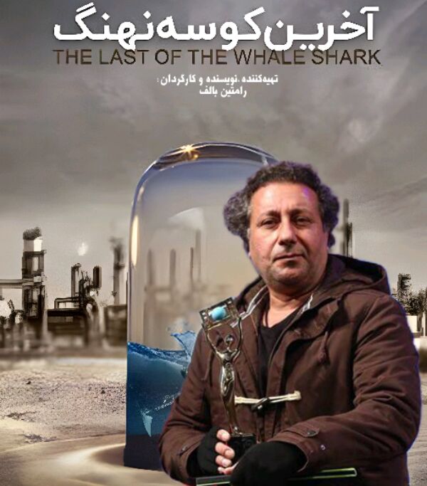 مستند «آخرین کوسه نهنگ» در جشنواره «رین دانس» لندن روی پرده میرود مستند «آخرین کوسه نهنگ» در جشنواره «رین دانس» لندن روی پرده میرود