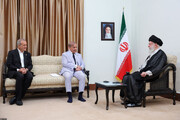Leader stresses need for effective measures to stop Israeli crimes in Gaza