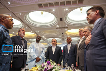 In photos: Africa Day marked in Tehran