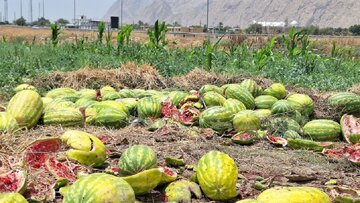 مشکل کامیون هندوانه کاران گچساران تا حدودی برطرف شد