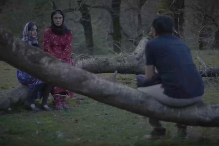 «دیلمای» به آخر خط رسید/ روایت پدری که دخترش را در قمار باخت