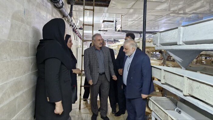 اجرای طرح بنیاد خدمتگزار با هدف ارائه خدمات به خانوادههای شهدا و ایثارگران