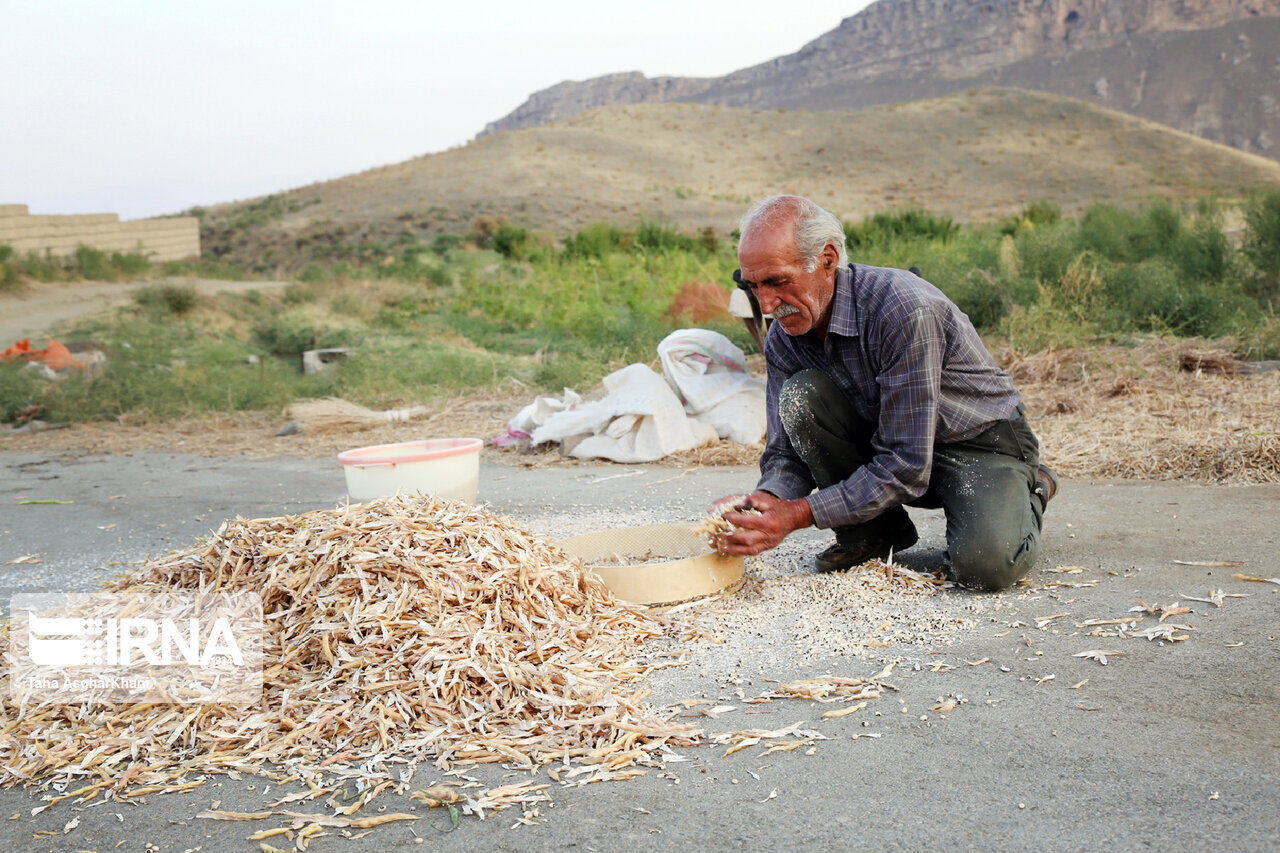فرماندار بابلسر: اجرای طرح‌های اقتصادی در روستاها سرعت می‌گیرد