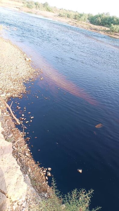 نشت نفت خام به رودخانه مارون بر اثر فرسودگی خط لوله