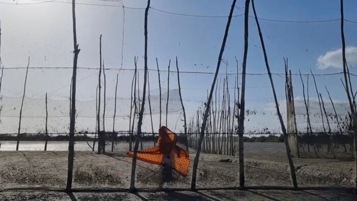 وقتی هنر از گالریها بیرون میآید