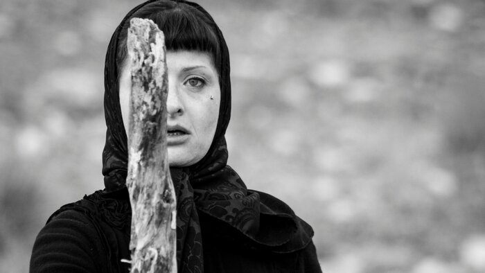 وقتی هنر از گالریها بیرون میآید