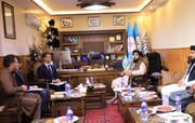 برای رهایی از فقر، بدیل کشت مواد مخدر‌ مهم و ضروری است