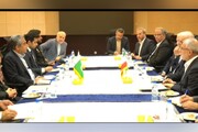 ایران، پاکستان و عراق نشست مشترک مدیریت سفرهای اربعین برگزار می‌کنند