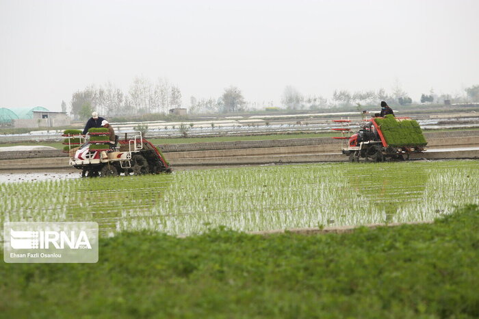 نوسازی ماشینآلات کشاورزی راهبردی برای امنیت غذایی کشور