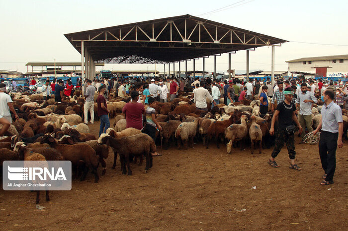 موانع توسعه میدان دام حسینیه اعظم زنجان رفع میشود