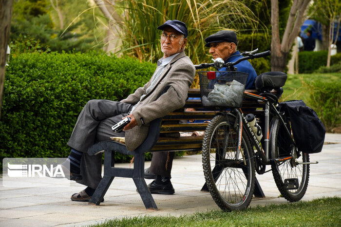 از صدور گواهی سلامت روان برای رانندگان تا وضعیت توله خرس گمشده پردیسان