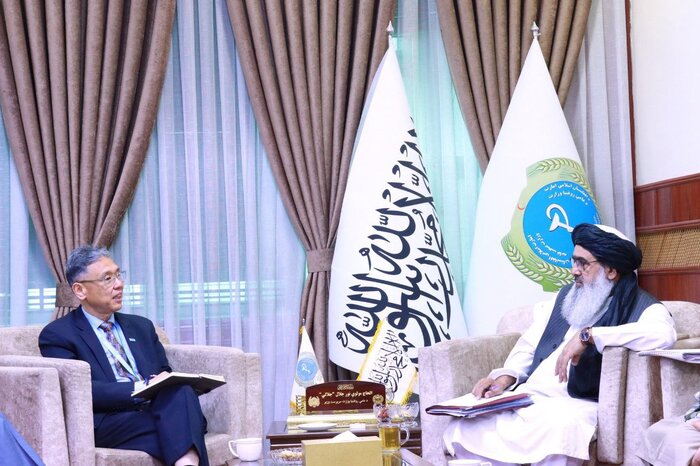 سازمان صحی جهان از همکاری همه‌جانبه با سکتور صحت افغانستان اطمینان داد
