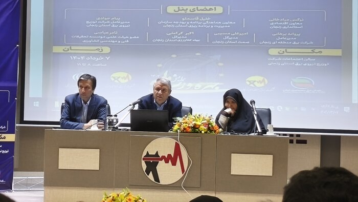 پای قیمتگذاری دستوری بر گلوی رونق تولید در صنعت برق