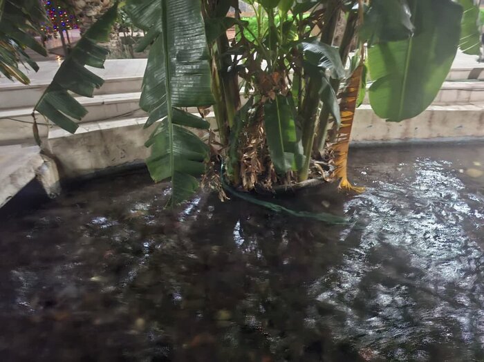 بم زیبا در انتظار گرهگشایی از مشکلات