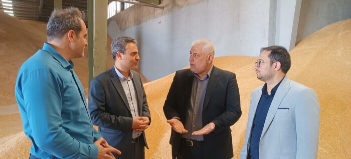 خرید تضمینی گندم در تایباد آغاز شد