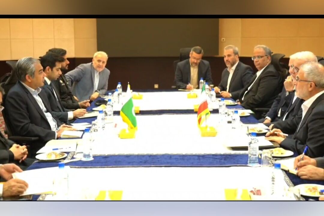 ایران، پاکستان و عراق نشست مشترک مدیریت سفرهای اربعین برگزار می‌کنند