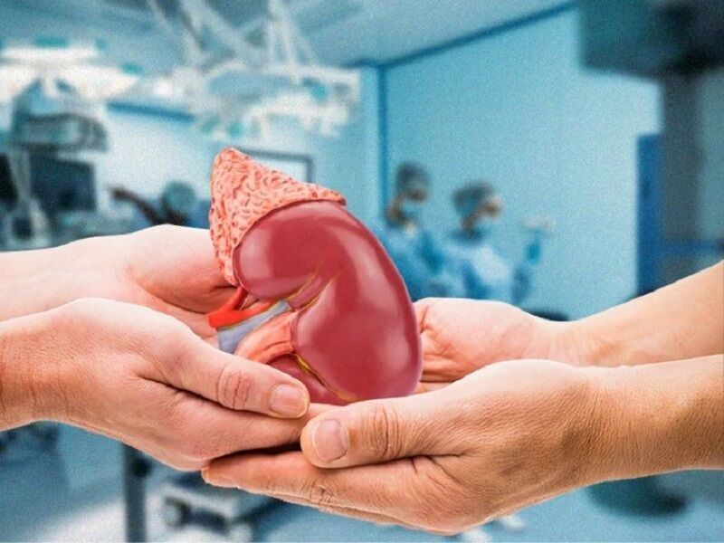 Hirntotes Kind aus Mashhad rettet fünf jungen Patienten das Leben