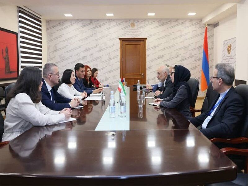 إيران وأرمينيا تتطلعان إلى تعزيز التعاون الأكاديمي والثقافي إيران وأرمينيا تتطلعان إلى تعزيز التعاون الأكاديمي والثقافي