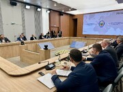 Секретари Совбезов Ирана и России выступили за скорейшую реализацию совместных проектов