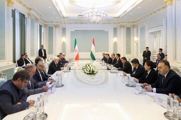 عارف: کمیته عالی مشترک زبان، ادبیات، فرهنگ و تمدن پارسی ایران و تاجیکستان تشکیل شود