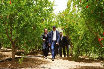 استاندار: «دشه» نمونه ای موفق از توسعه روستامحور و مهاجرت معکوس در کرمانشاه است
