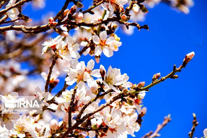 هوای خنک در راه مازندران