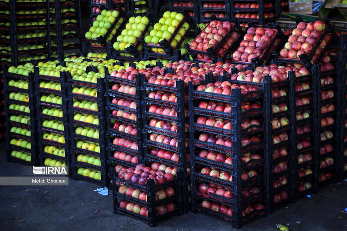 معاون وزیر جهاد کشاورزی: محصولات باغی و زارعی ایران به ۸۰ کشور جهان صادر میشود