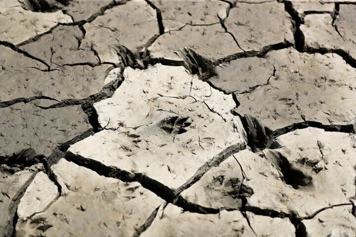 اعتبارات تنش آبی در کاشان ۱۰ برابر شد