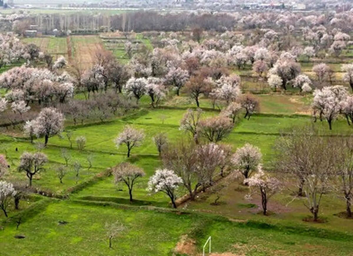 زنان قزوینی در حفظ میراث طبیعی نقش آفرینی کنند