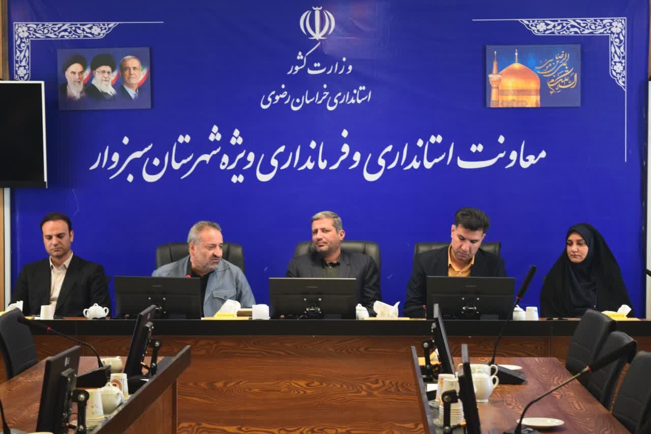 سبزوار در لیگ برتر هندبال صاحب نماینده شد