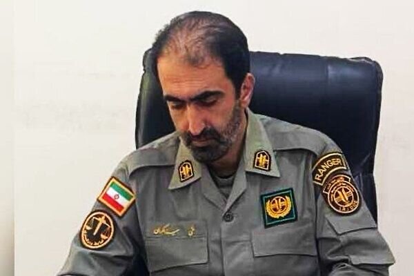 نجات بره میش وحشی و آغاز فصل گردشگری در دریاچه تار دماوند+ فیلم