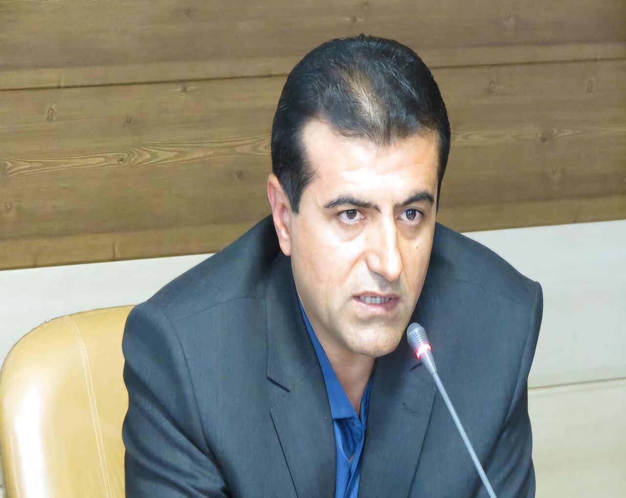 ایرنا