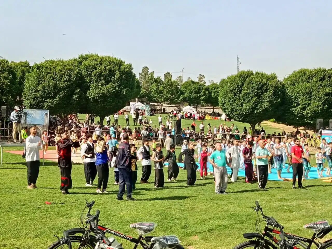نشاط اجتماعی در ورزش بانوان قزوین تبلور یافته است