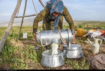 تشکیل صندوق‌های خُرد زنان سمیرم، الگوی  توانمندسازی زنان عشایر کشور