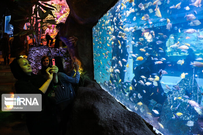 پرچمداری پرورش ماهیان تزئینی در اصفهان و ضرورت تکمیل زنجیره تولید