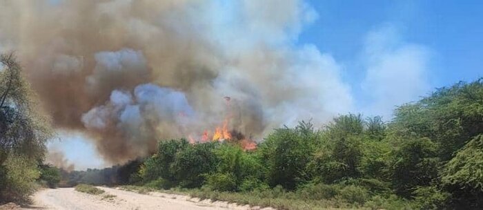 آتشسوزی در بیشهزارهای حمیدآباد و زاویه عزیب دزفول مهار شد