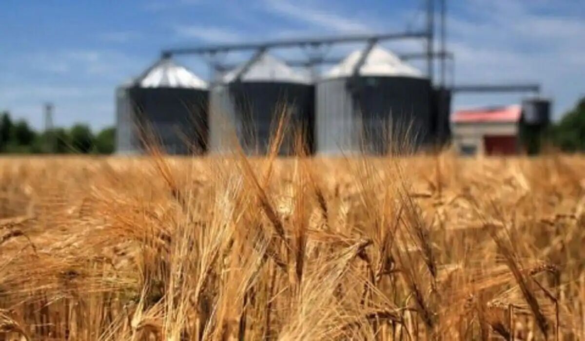 نبودن سیلو مهمترین عامل خروج گندم از قزوین است