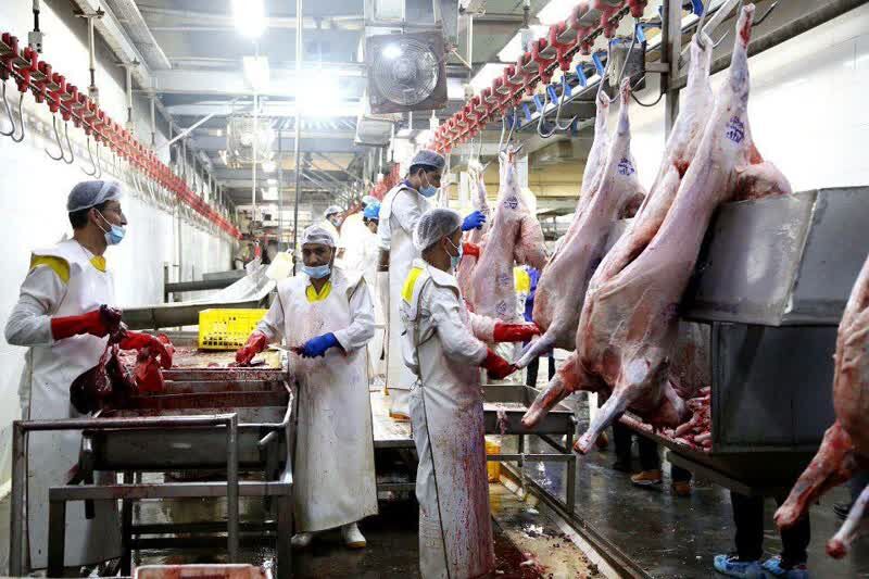 ۱۷۳ تیم دامپزشکی نظارت بر دام‌های قربانی خراسان‌رضوی را بر عهده دارند