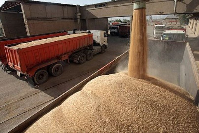 ۳۴۶ محموله گندم به سیلوهای استان مرکزی تحویل شد