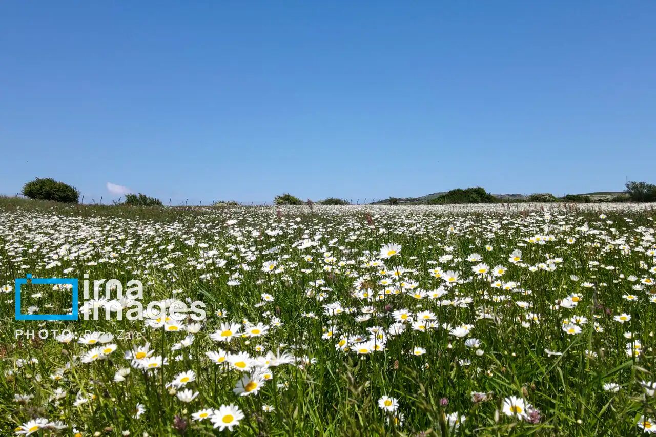 دمای زنجان کاهش می‌یابد