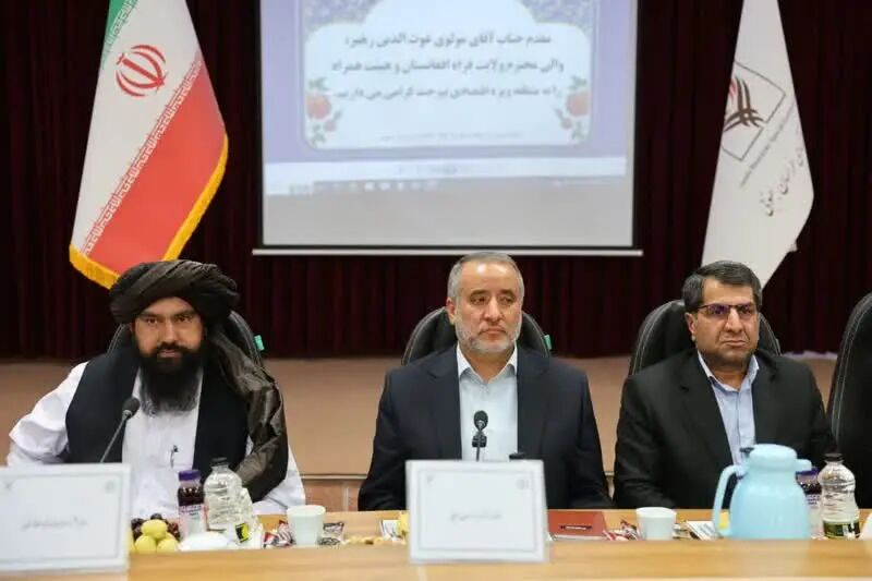 ولایت فراه برای خراسان جنوبی یک فرصت راهبردی است/ مرز ماهیرود ستون اقتصاد دو کشور است