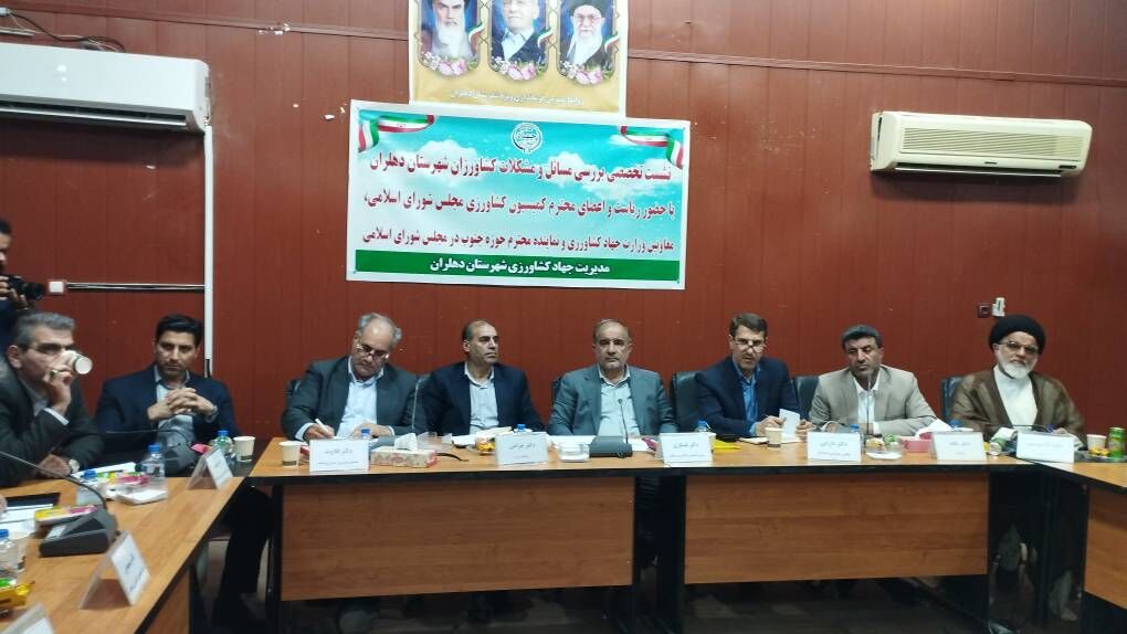 نماینده مجلس: خسارت سرما به کشاورزان دهلرانی بسیار سنگین است