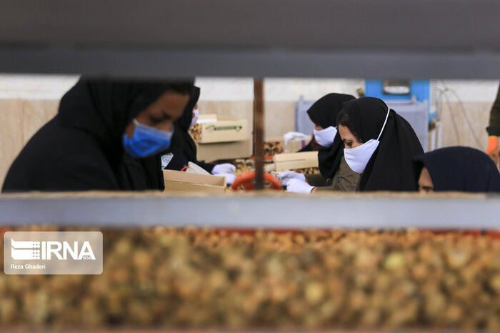 اشک کشاورزان، طلای دلالان در بهشت انجیر جهان