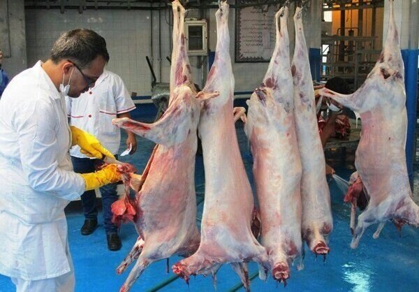 ۳۴ اکیپ دامپزشکی بر ذبح دام در عیدقربان نظارت میکنند