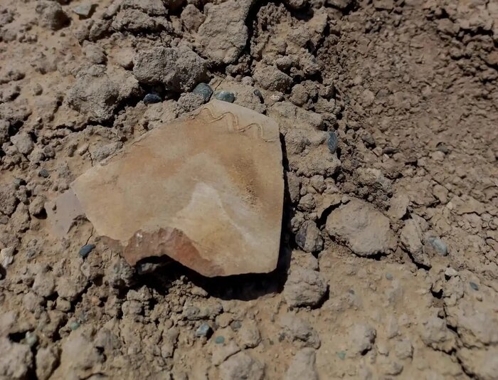 چرایی حمله بیل مکانیکی به تمدن ۵ هزارساله جیرفت/وقتی یک دهیار امکان تخلف مجدد پیدا میکند