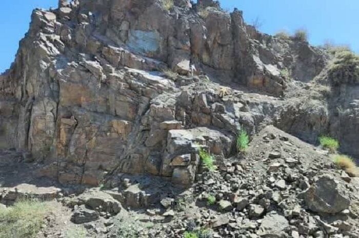 نشانه‌های خوب از گربه پالاس کمیاب در کرمان