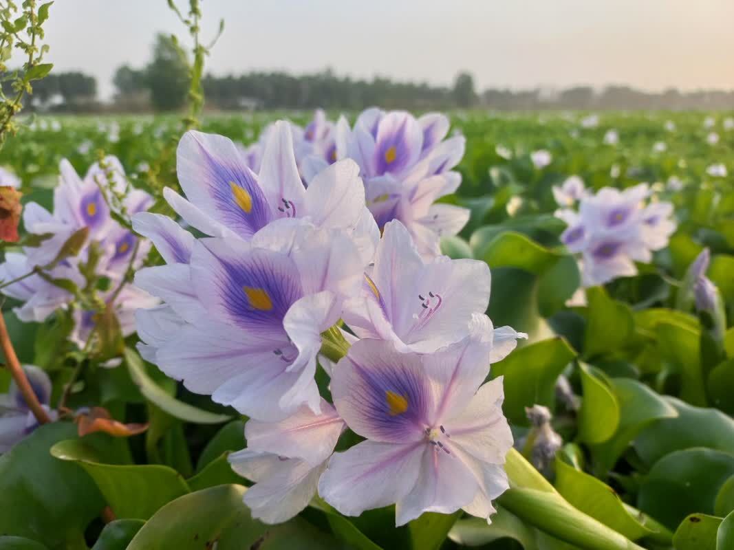 بزمی برای شیطان