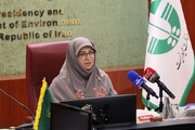 انصاری: مشارکت جوامع محلی برای حفظ محیط‌زیست باید با اقتصاد پیوند بخورد 