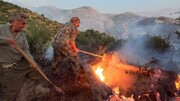 نبرد با آتش در پارک ملی گلستان+ فیلم